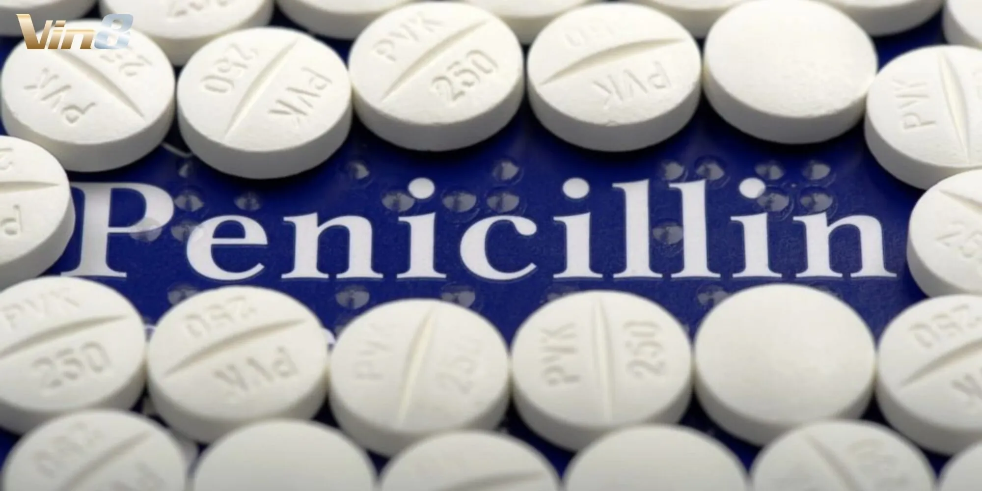 Penicillin – Kháng sinh cứu sống hàng triệu người, đánh dấu bước tiến y học